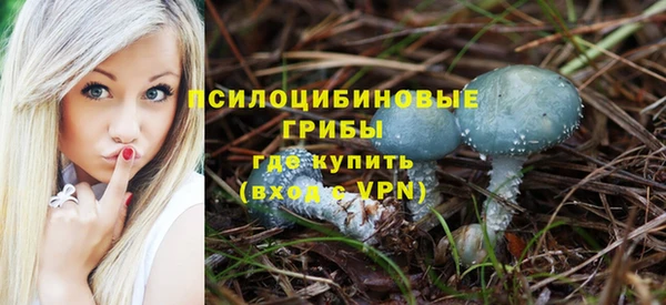 герыч Алзамай