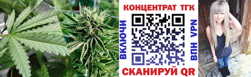 ТГК концентрат  Щигры 