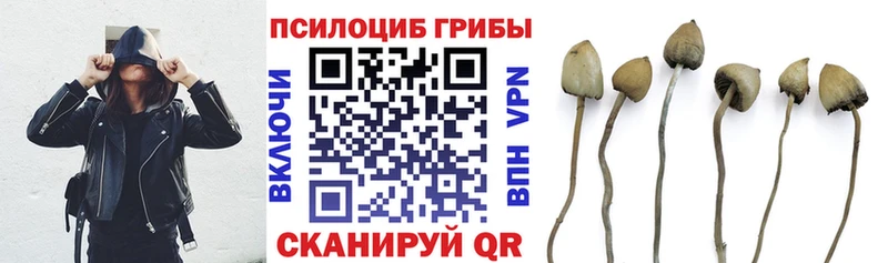 Псилоцибиновые грибы прущие грибы блэк спрут ссылки Щигры цена